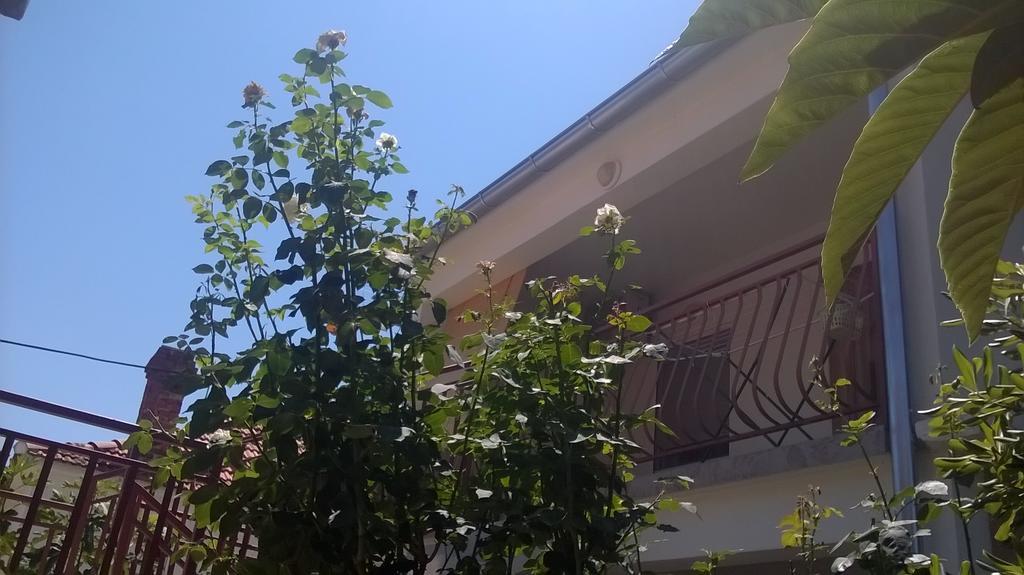 Apartment Cvita Biograd Na Moru Cameră foto
